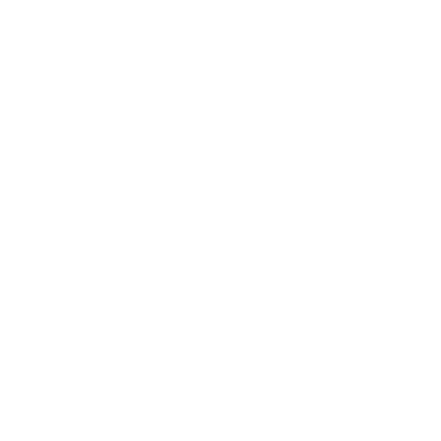 Model Context Protocol logo